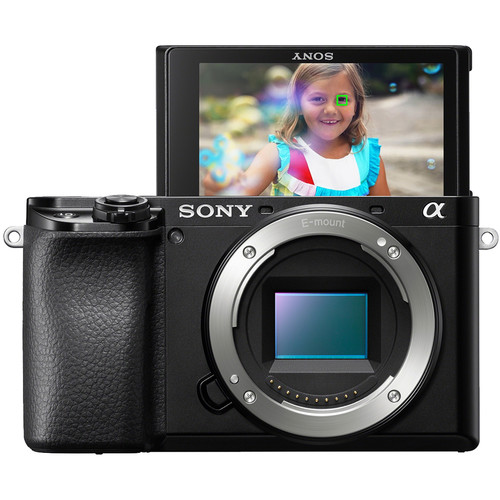 Sony a6100 Mirrorless Camera